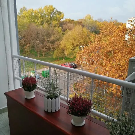 Star Apartment *